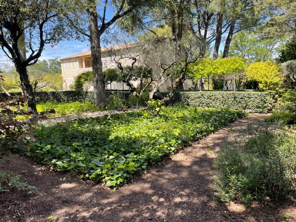 Création de jardin près de Remoulins 