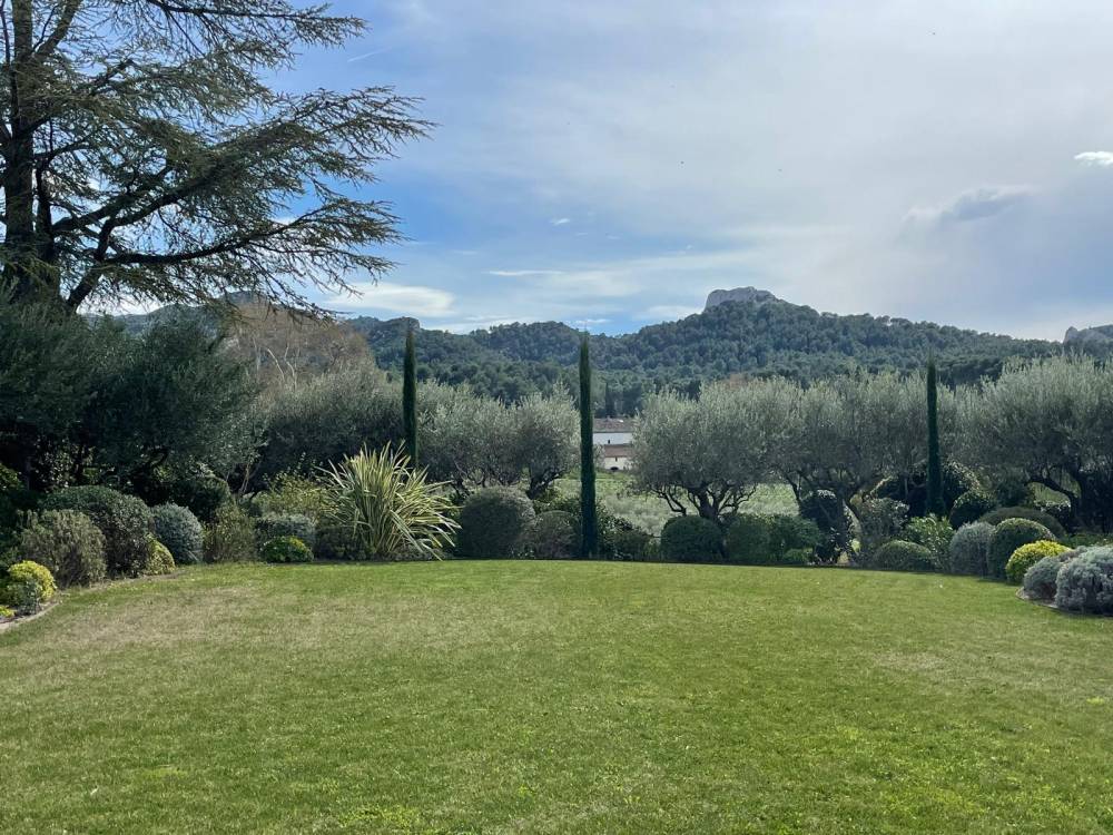 Arbre eau et sens