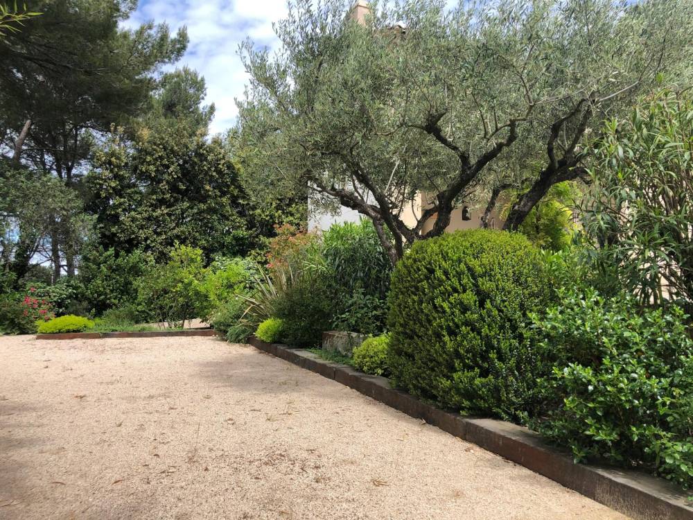Arbre eau et sens