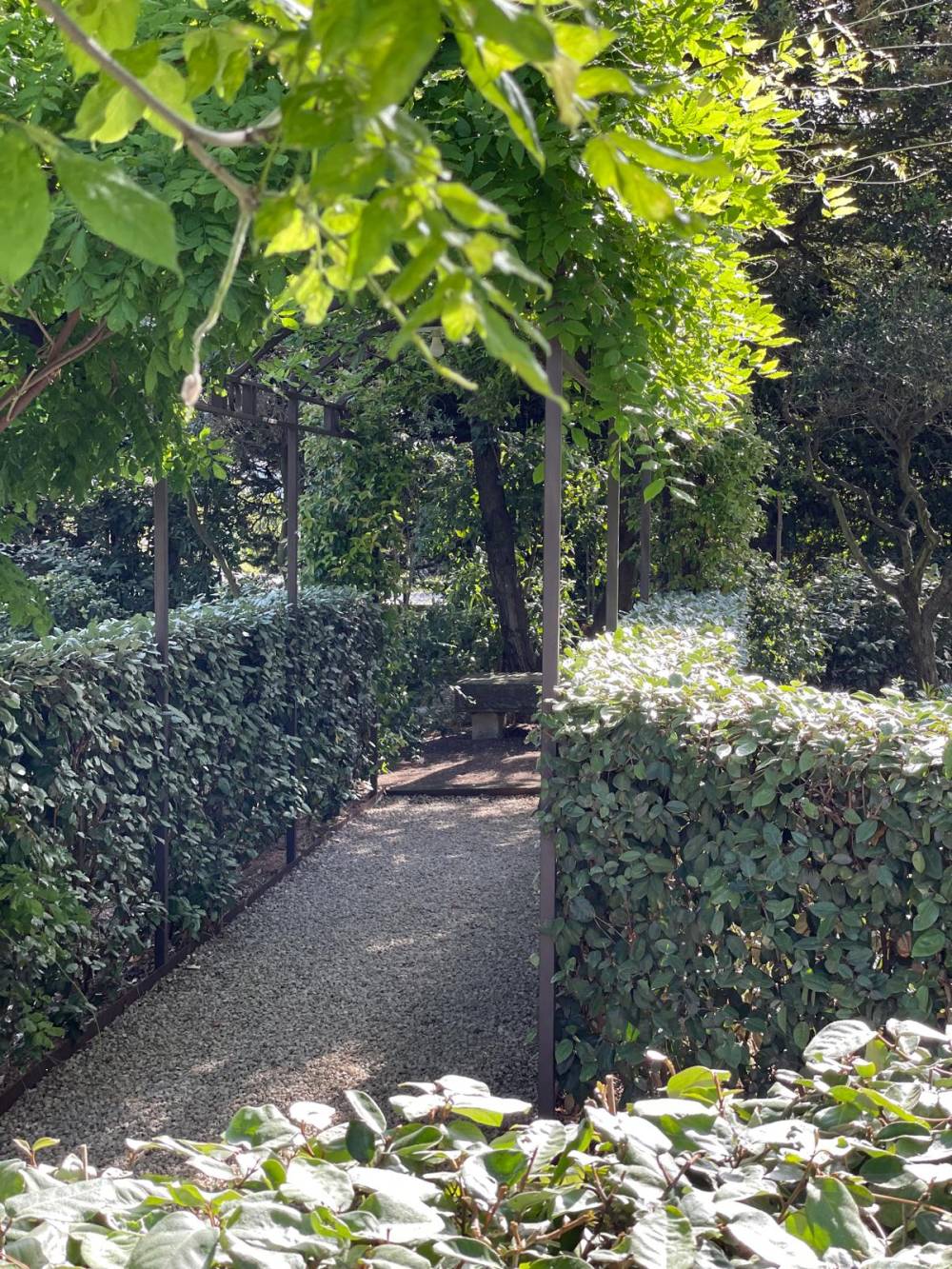 Arbre eau et sens